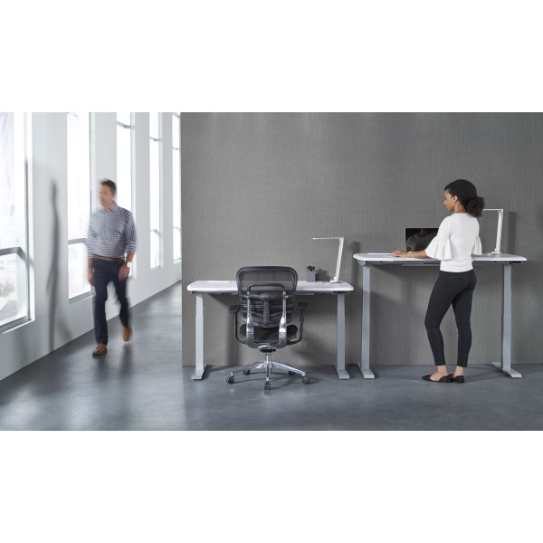 WorkPro Electric 60