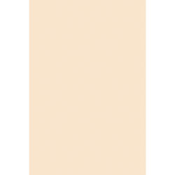 Pacificink